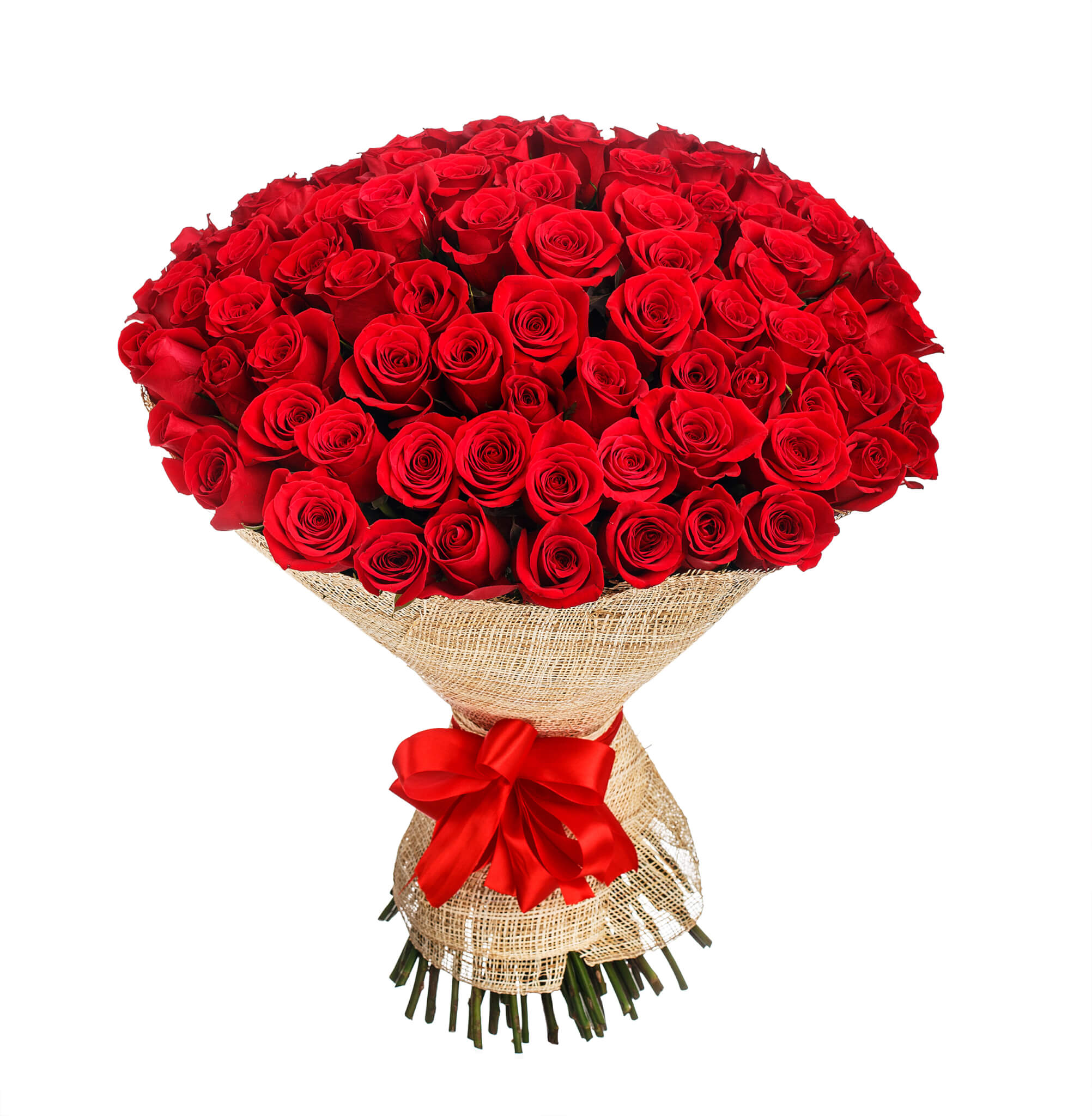 100 rote Rosen