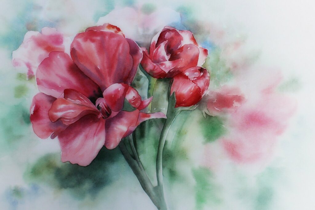 Aquarell Bild einer Geranienblüte