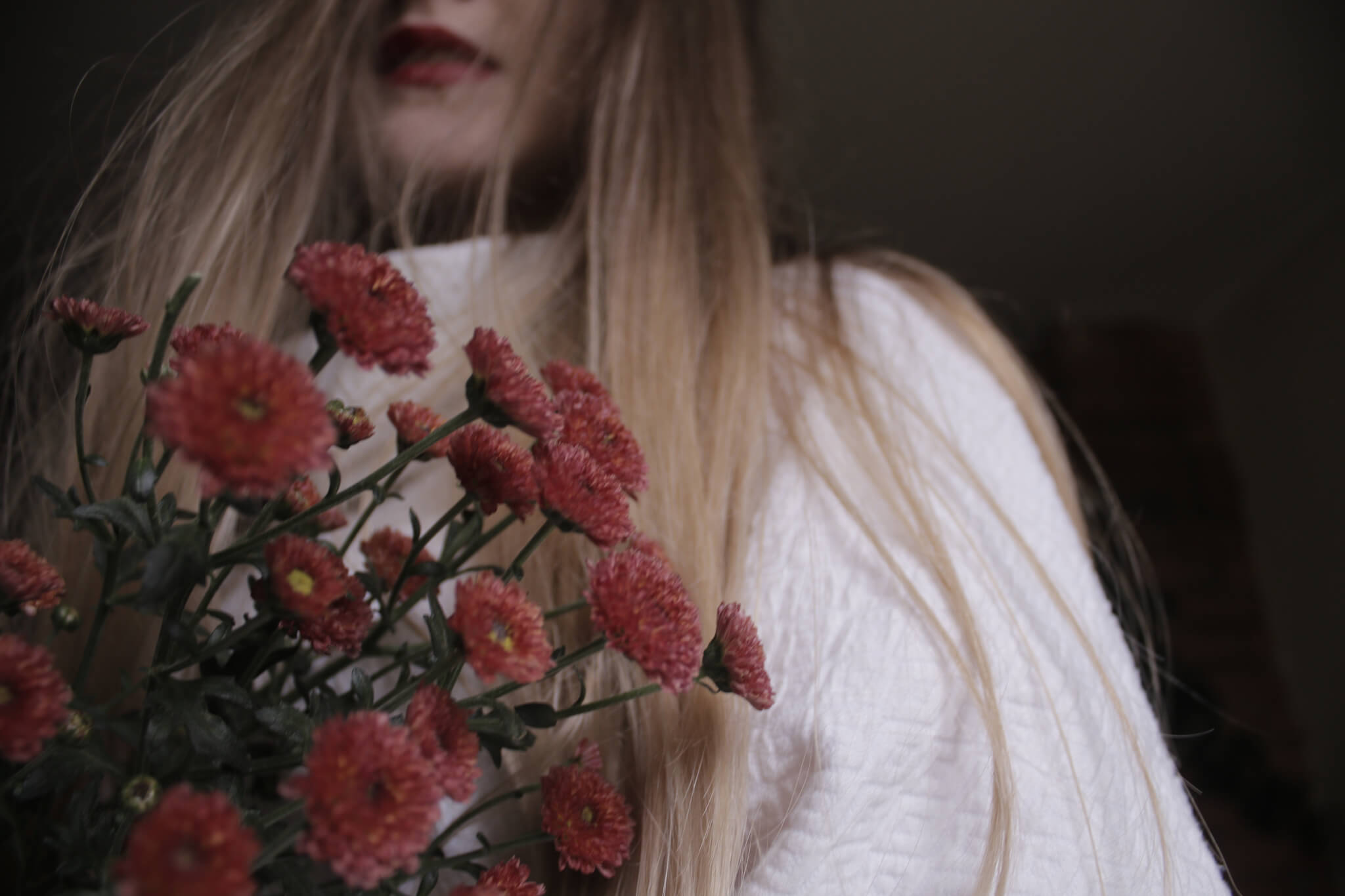 Blumen Abo Schenken