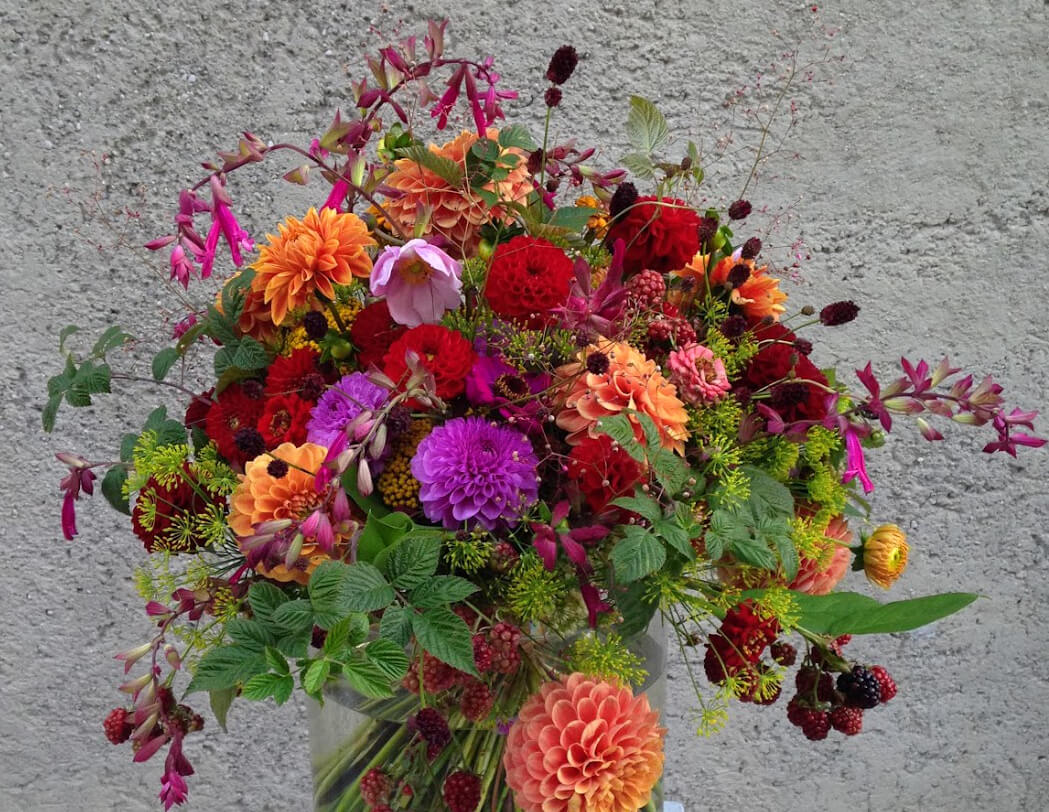 Die schönsten Herbstblumen