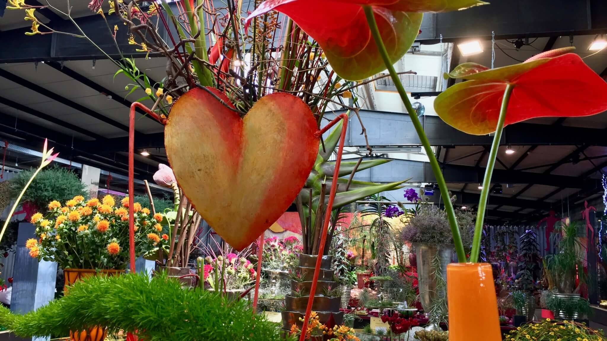 Lohnt sich die BuGa? – mit Sneak Peak auf Feel the (Heart)Beat