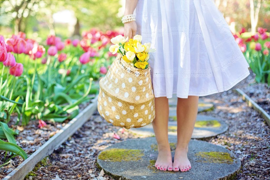 Frühling mit Narzissen und Tulpen