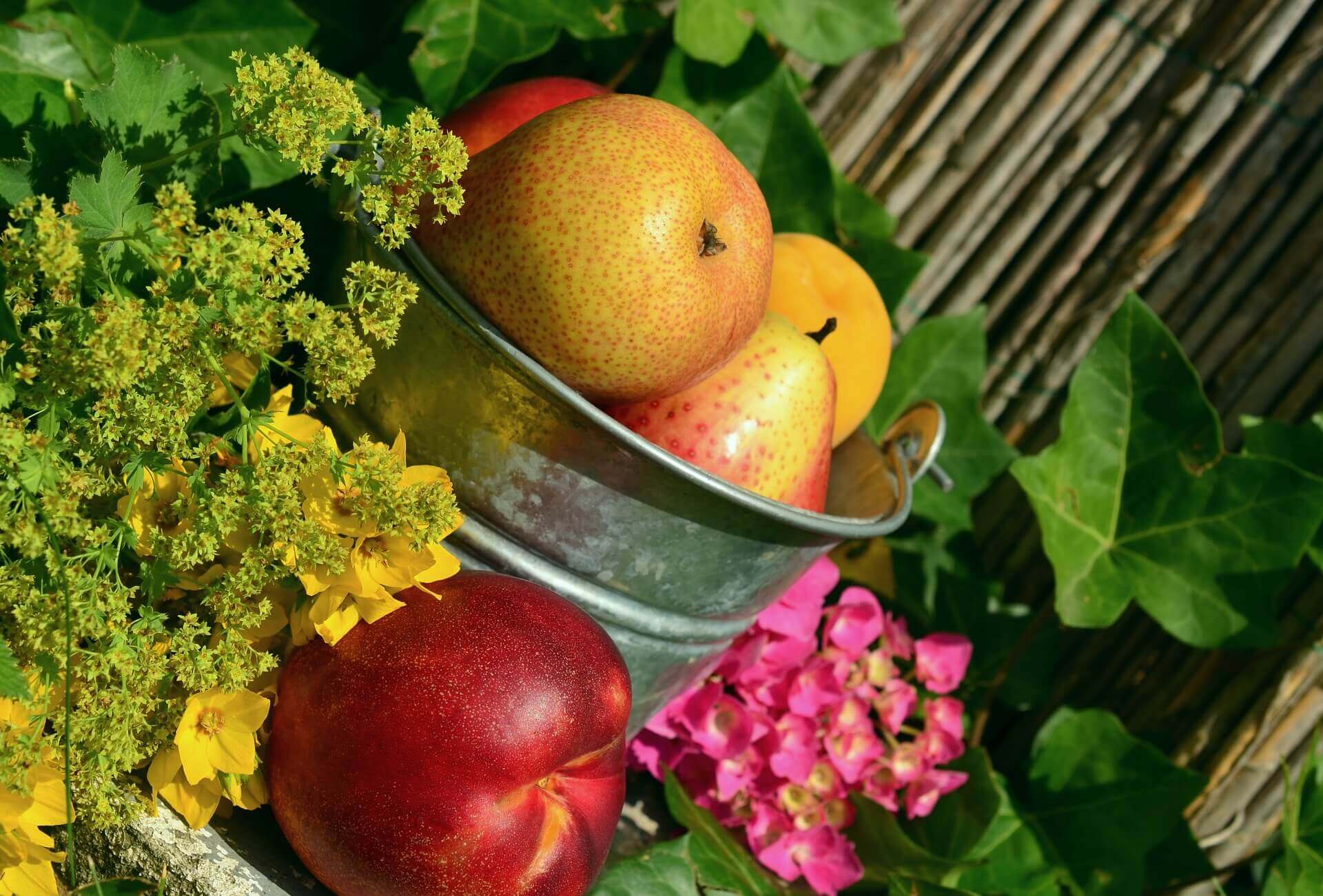 Früchte und Blüten