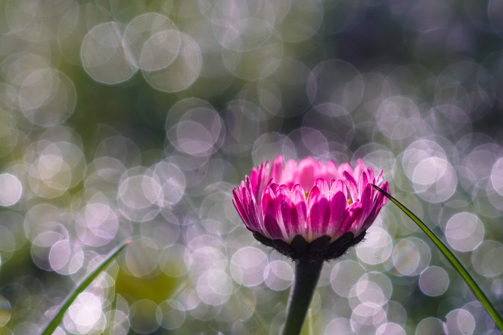 Endlich Frühling – jetzt gönnen