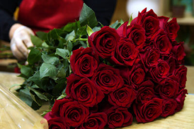 Rote Rosen Immer Viele