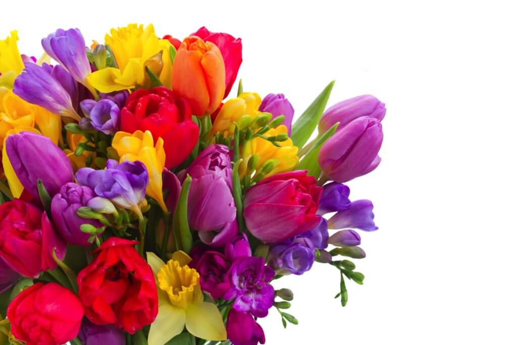 Strauss Bunte Tulpen Mit Freesien 1