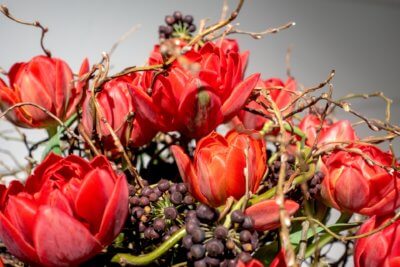 Strauss Rote Tulpen Weidenzweige