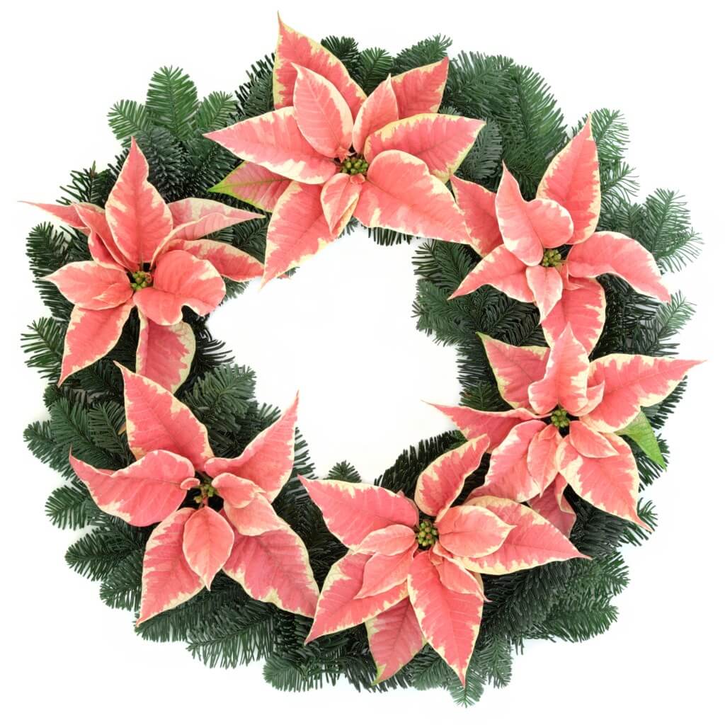 Türkranz mit Weihnachtssternen