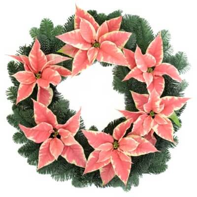 Tuerkranz Weihnachtsstern 1