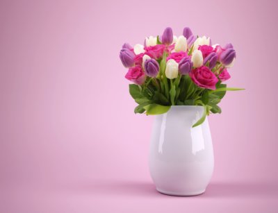 Tulpen Und Rosen Einfach So