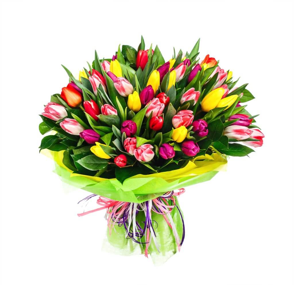 Tulpenstrauss Mit Schleife 1
