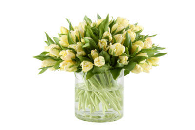 Weiße Tulpen Strauß