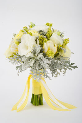 Weiße und gelbe Frühlingsblumen